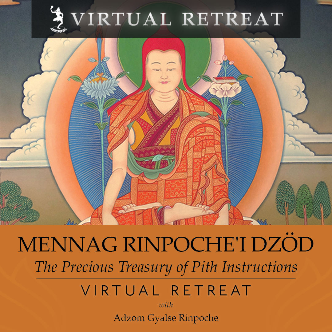 Mennag Rinpoche’i Dzöd: The Precious Treasury of Pith Instructions – VIRTUAL RETREAT