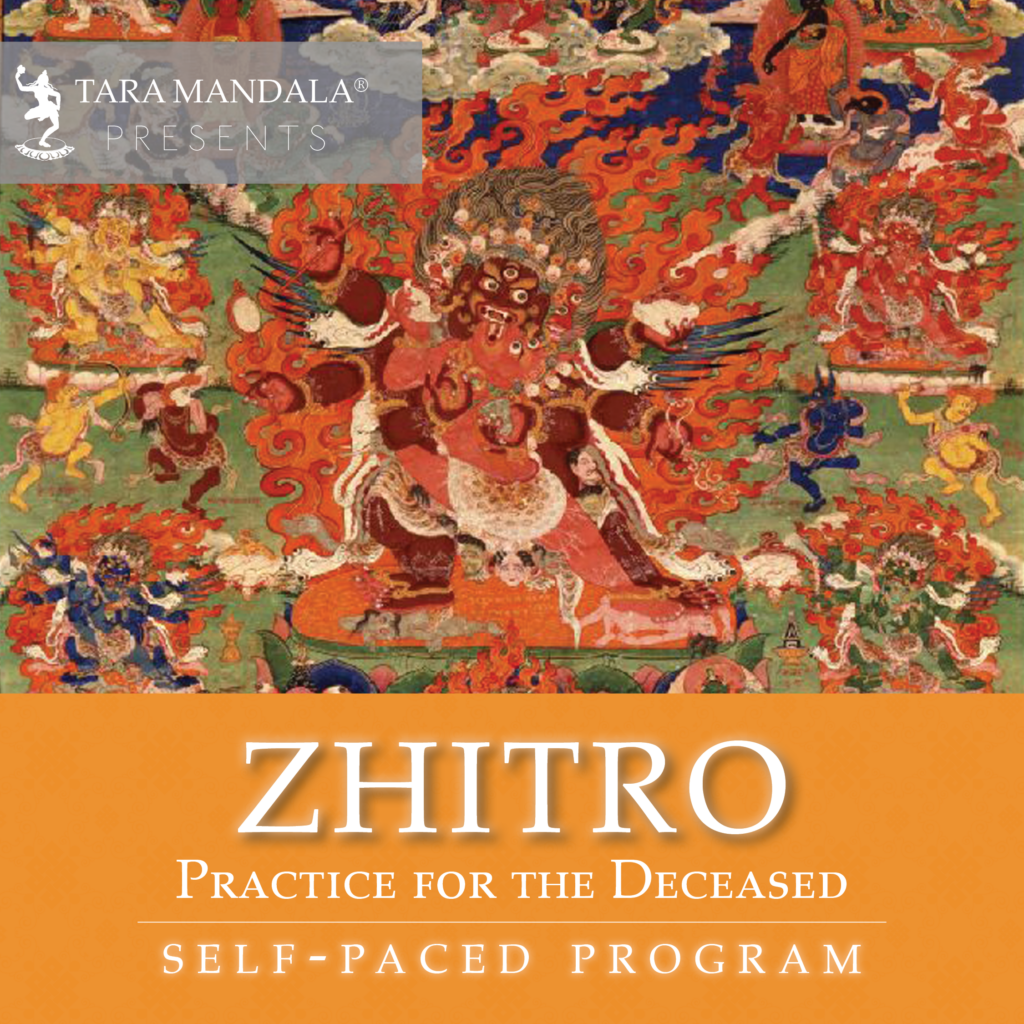 The programs featured image