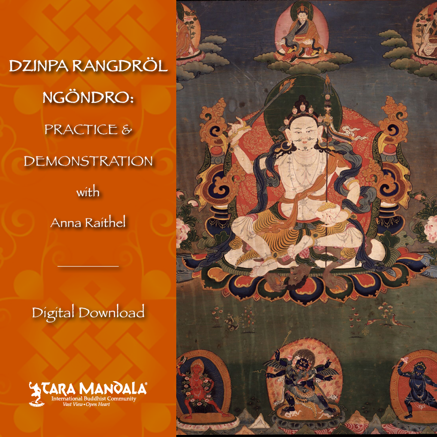 Video Digital Download of Restricted Support Material Dzinpa Rangdrol Ngondro Practice and Demonstrations