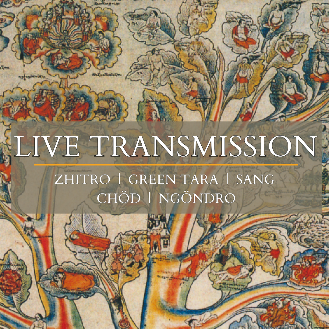 Live Transmission Event with Lama Tsultrim Allione