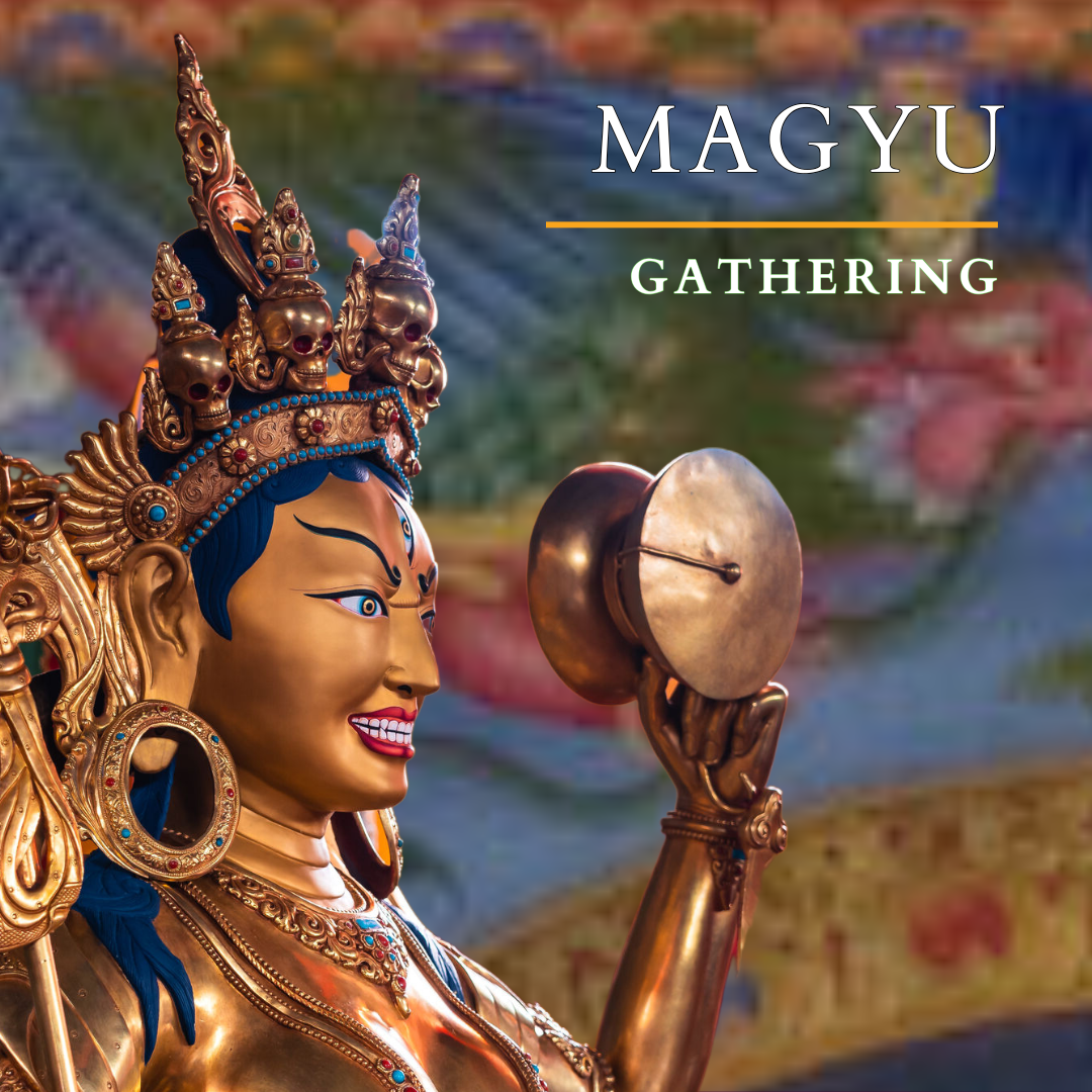 The Magyu Gathering