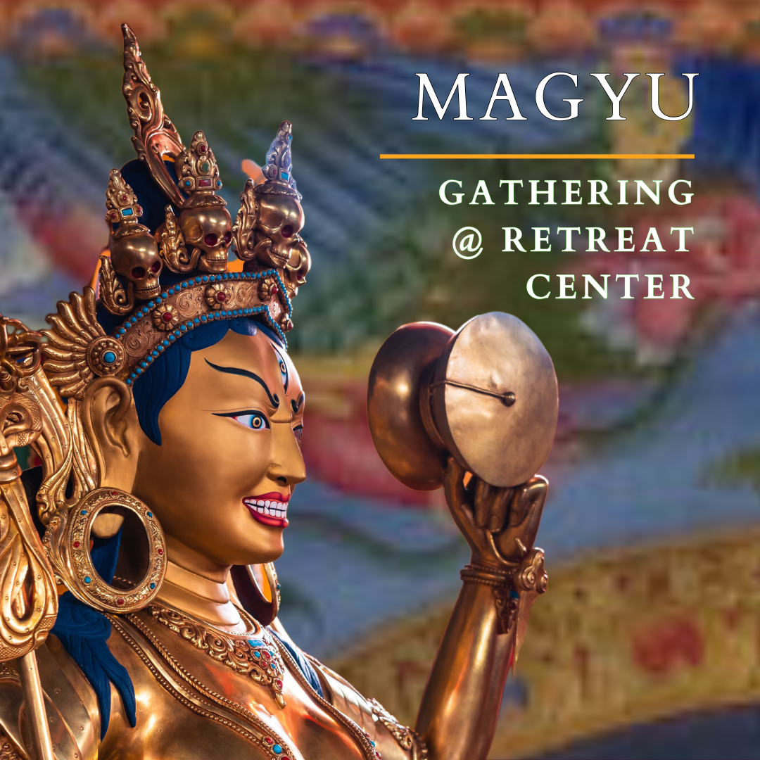 The Magyu Gathering COLORADO