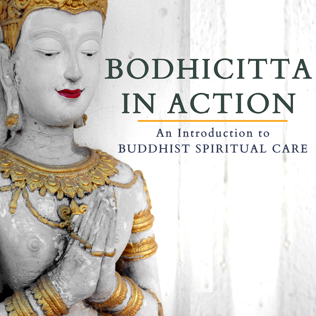 Bodhicitta in Action An Introduction to Buddhist Spiritual Care